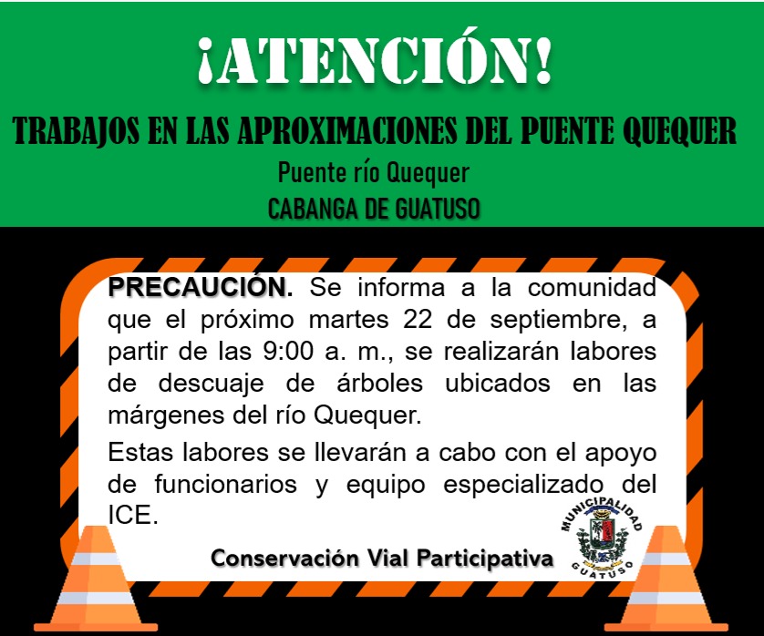 arboles-quequer.jpeg